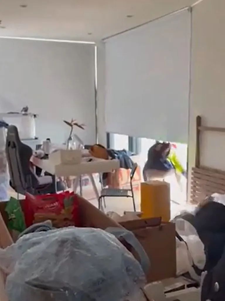 太离谱！澳洲华人情侣度假回家，惊见陌生男“住”进家里，还穿着粪渍衣服喊：我在布置房子（组图） - 7