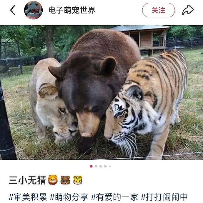 【爆笑】老公送我5k手镯,但总觉得有问题?网友惊呆:抠男真是让我眼界大开!(组图) - 8