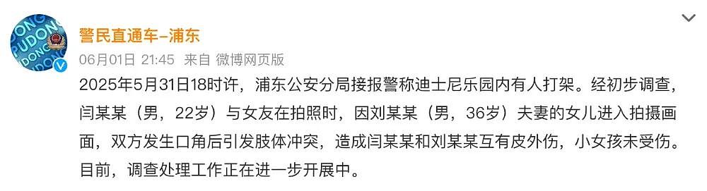 端午节上海迪士尼斗殴事件，最无辜的那个人被骂的最惨（组图） - 4