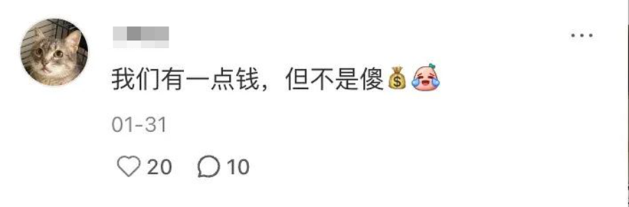 上海人,怎么就成了互联网“第一冤种”?(组图) - 5