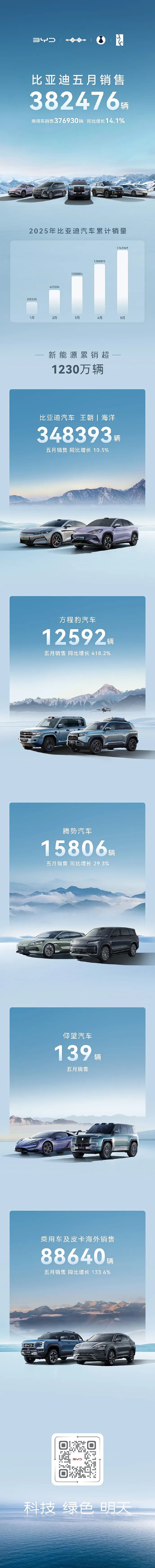 新一轮大降价后，比亚迪销量涨了、股价跌了（组图） - 1