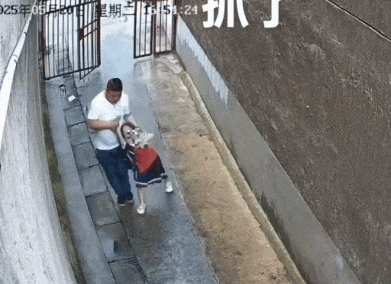 湖南6岁女童被陌生男子拖入僻巷:这个动作,救了她(组图) - 4