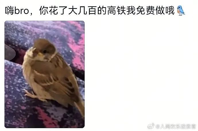 【爆笑】“千万不要！在庙里随便许愿啊啊啊！”哈哈哈哈哈网友经历过于抽象了...（组图） - 54
