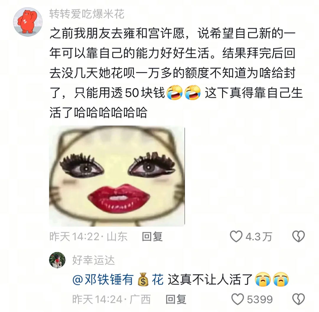 【爆笑】“千万不要！在庙里随便许愿啊啊啊！”哈哈哈哈哈网友经历过于抽象了...（组图） - 8