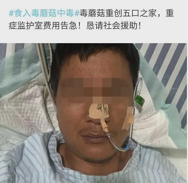 一家6口送进ICU,孩子病危!紧急提醒:千万不要吃(组图) - 3