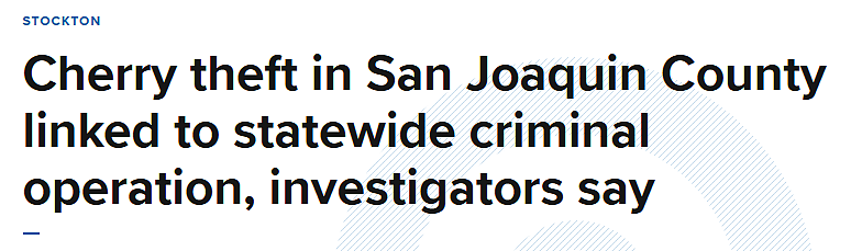 至少3华人在农场0元购!偷满20个百利箱,这样“进货”樱桃摆摊出售,连人带钱被没收(组图) - 1