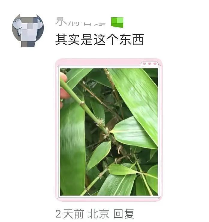 【爆笑】“半夜机场接朋友却撞见男友和别人抱在一起？”网友：大型抓马现场（组图） - 95
