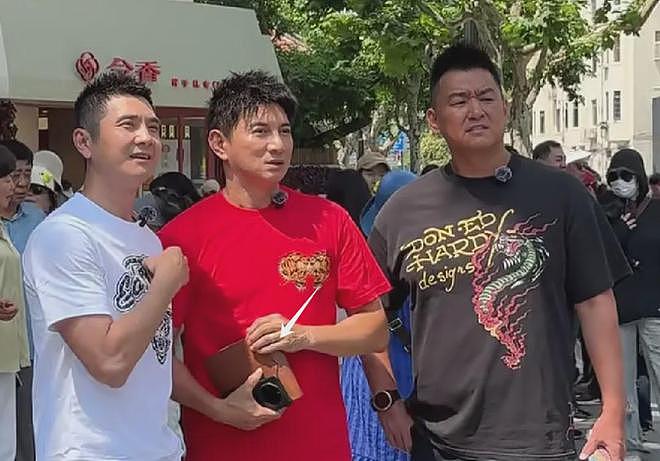 吴奇隆录节目仍戴着婚戒,刘诗诗早已摘掉,两人不官宣原因疑曝光(组图) - 5