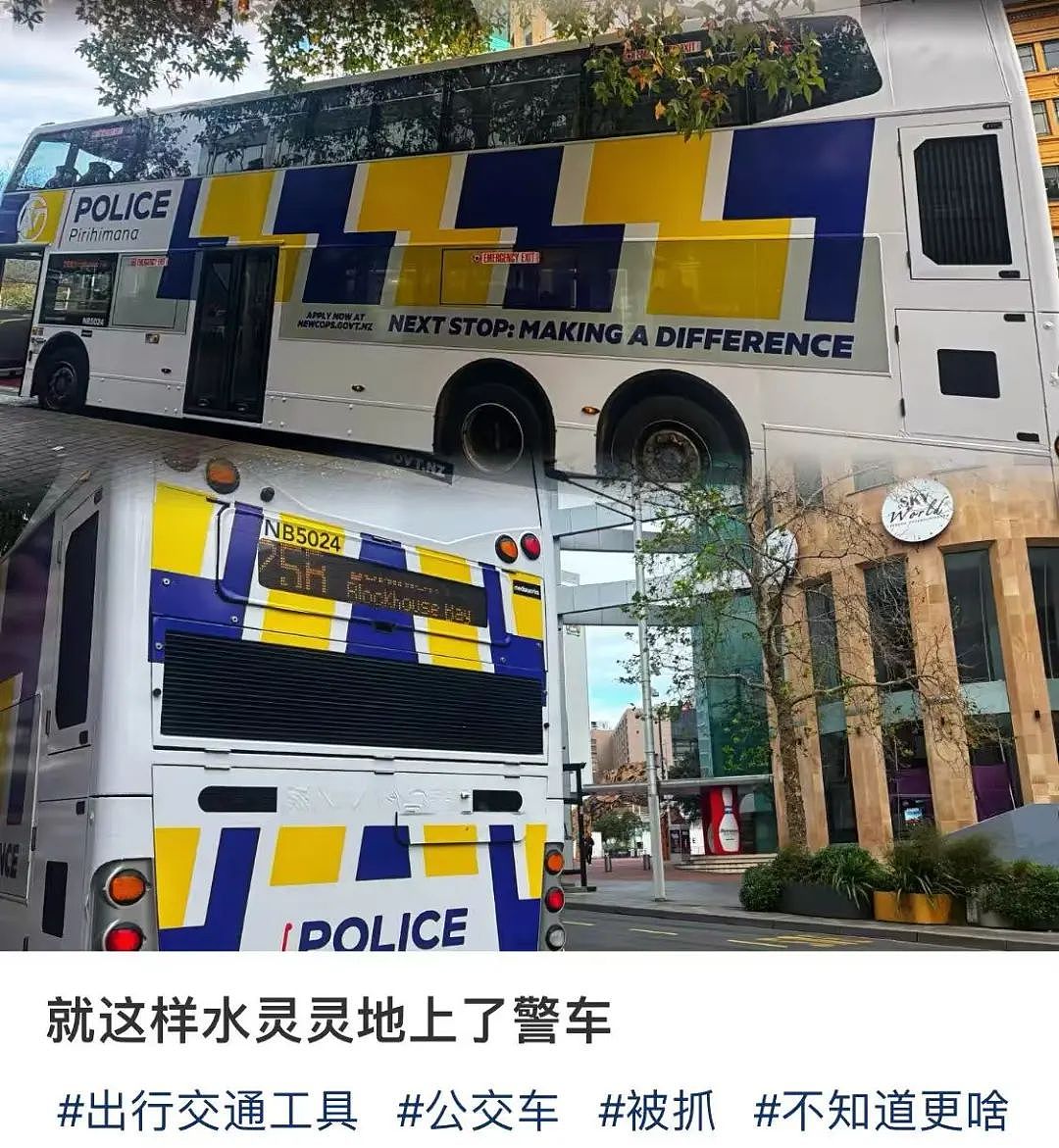 “刀架在脖子上!”新西兰华人家庭半夜遭入室抢劫,“两位同胞受伤住院”(组图) - 25