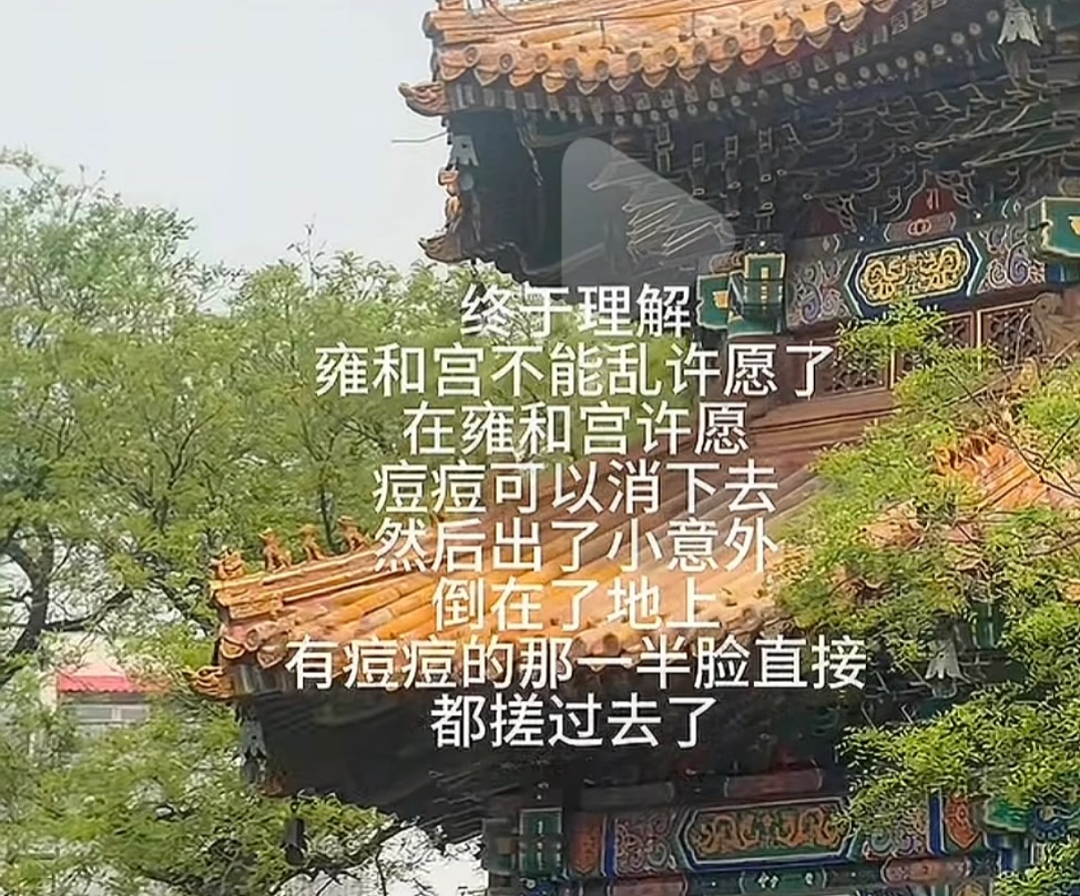 【爆笑】“千万不要！在庙里随便许愿啊啊啊！”哈哈哈哈哈网友经历过于抽象了...（组图） - 4
