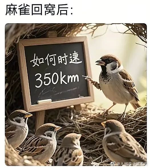 【爆笑】“千万不要！在庙里随便许愿啊啊啊！”哈哈哈哈哈网友经历过于抽象了...（组图） - 52