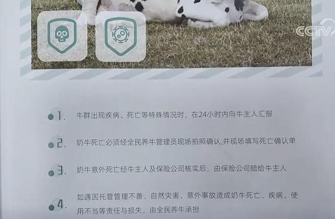 反诈志愿者一脚踏进骗子陷阱,民警:这我真的说不过去(组图) - 9