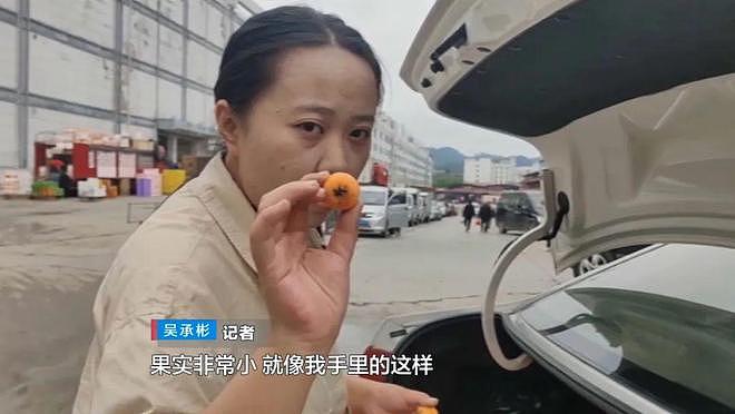 直呼被坑惨!男子旅游买两箱水果寄回家,塞了“三四斤”卫生纸?还藏着两瓶矿泉水(组图) - 13
