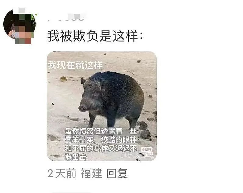 【爆笑】“半夜机场接朋友却撞见男友和别人抱在一起？”网友：大型抓马现场（组图） - 47