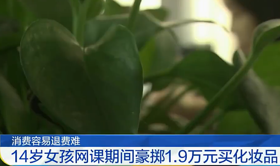 14岁少女狂买1.9万元化妆品,谁该买单?(组图) - 1
