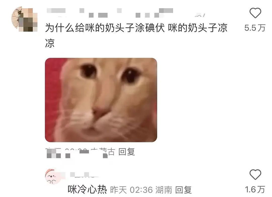 【爆笑】“半夜机场接朋友却撞见男友和别人抱在一起？”网友：大型抓马现场（组图） - 28