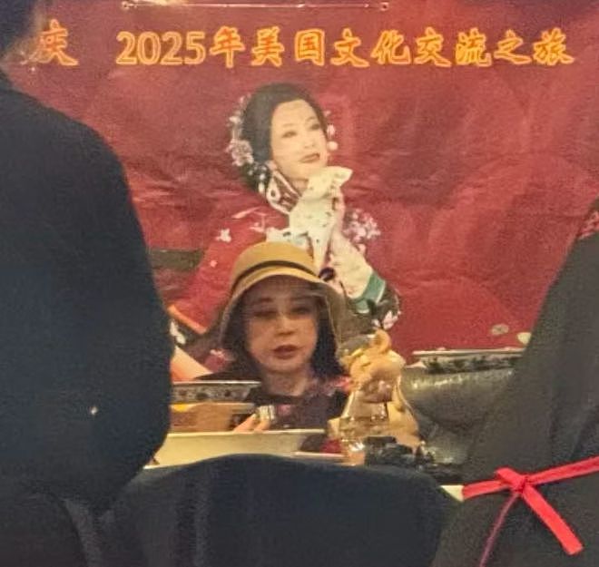刘晓庆后续税务风波来了:多场话剧演出被取消,海外露面状态不佳(组图) - 13