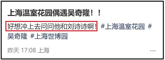 吴奇隆录节目仍戴着婚戒,刘诗诗早已摘掉,两人不官宣原因疑曝光(组图) - 14