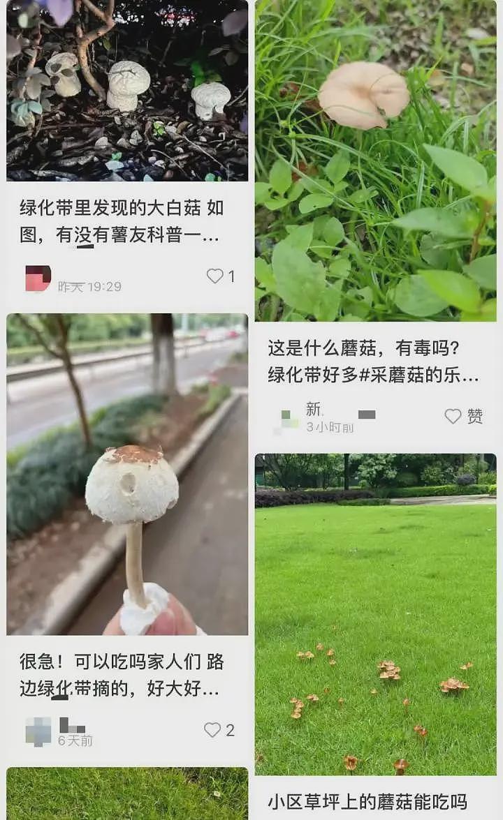 一家6口送进ICU,孩子病危!紧急提醒:千万不要吃(组图) - 1