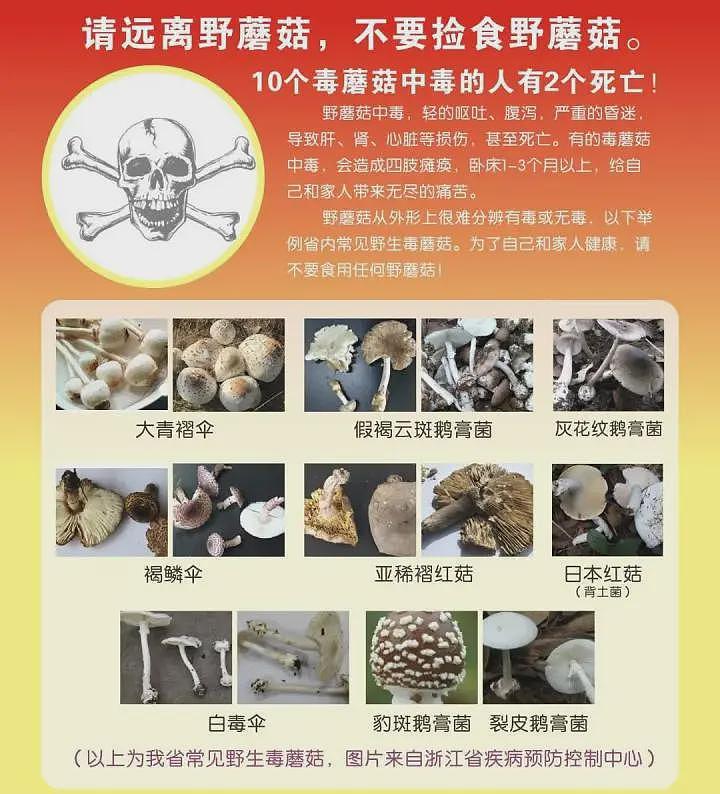 一家6口送进ICU,孩子病危!紧急提醒:千万不要吃(组图) - 5