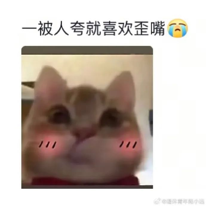 【爆笑】“千万不要！在庙里随便许愿啊啊啊！”哈哈哈哈哈网友经历过于抽象了...（组图） - 43