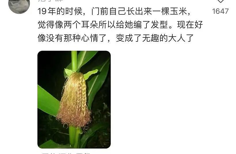 【爆笑】“半夜机场接朋友却撞见男友和别人抱在一起？”网友：大型抓马现场（组图） - 103