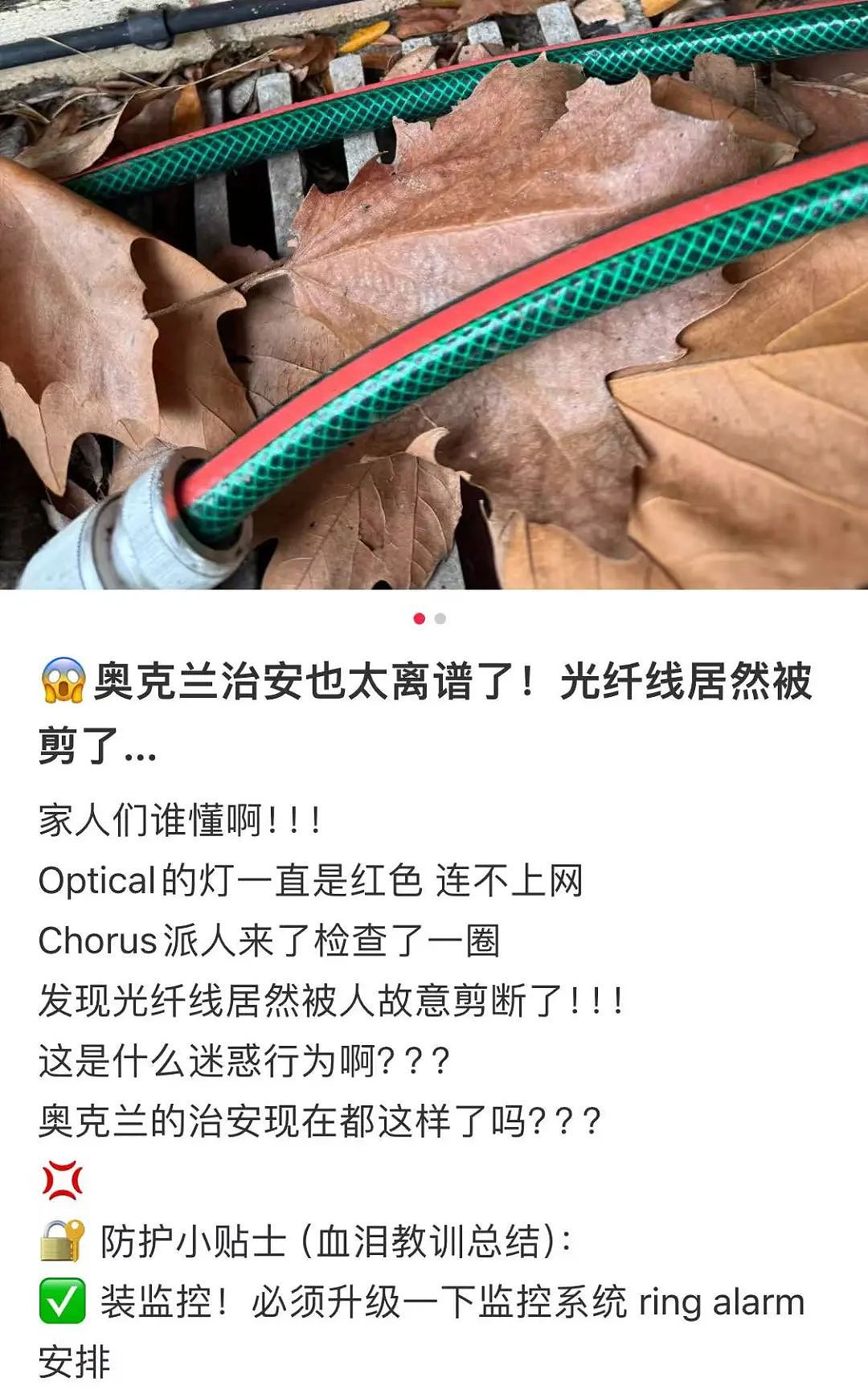 “刀架在脖子上!”新西兰华人家庭半夜遭入室抢劫,“两位同胞受伤住院”(组图) - 21