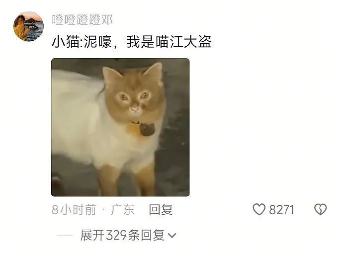 【爆笑】“千万不要！在庙里随便许愿啊啊啊！”哈哈哈哈哈网友经历过于抽象了...（组图） - 61