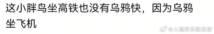 【爆笑】“千万不要！在庙里随便许愿啊啊啊！”哈哈哈哈哈网友经历过于抽象了...（组图） - 51