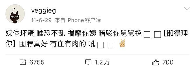 王菲李亚鹏离婚12年：婆媳暗战、天价纠纷与婚姻牢笼（组图） - 114