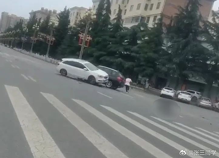 陕西社区女书记闹市飞车追撞女子!误伤2途人不顾,被刑拘免职(视频/组图) - 3
