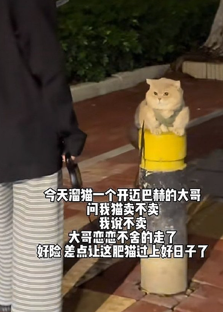 【爆笑】老公每天背着我吃火腿肠,我想离婚有错吗?网友破防:离谱又合理?(组图) - 26