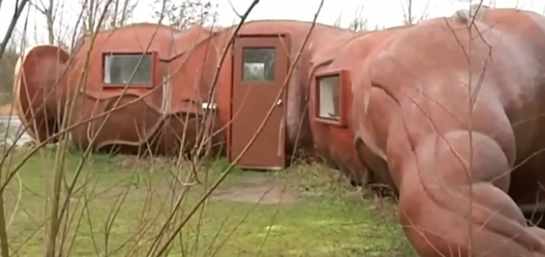 【爆笑】在“肛肠”里住一晚是什么体验？现在的主题酒店这么狂野的吗？我看完沉默了（组图） - 8