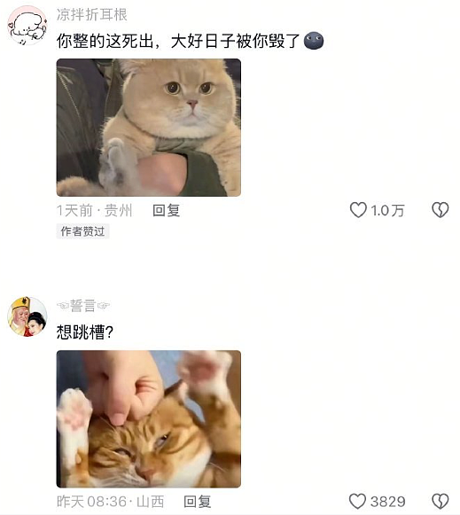 【爆笑】老公每天背着我吃火腿肠,我想离婚有错吗?网友破防:离谱又合理?(组图) - 28