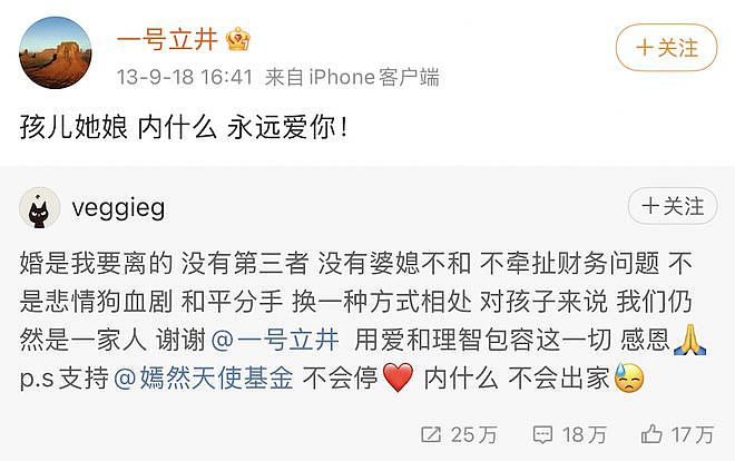 王菲李亚鹏离婚12年：婆媳暗战、天价纠纷与婚姻牢笼（组图） - 252