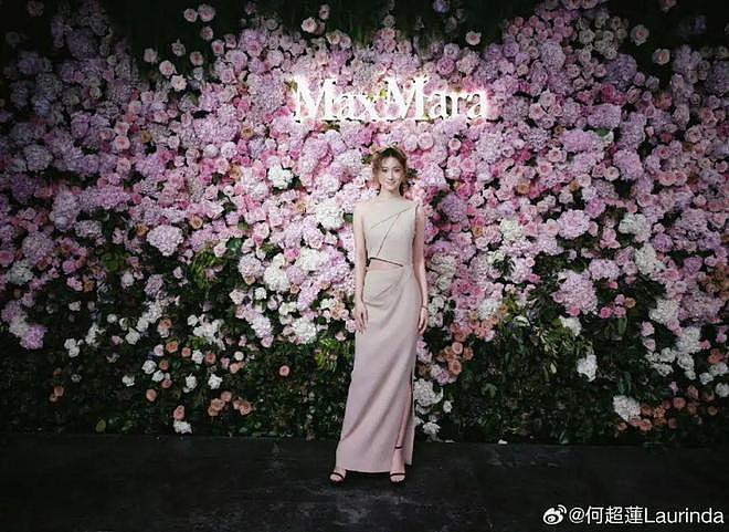 窦骁何超莲又传婚变，豪门赘婿根本没领证？（组图） - 22
