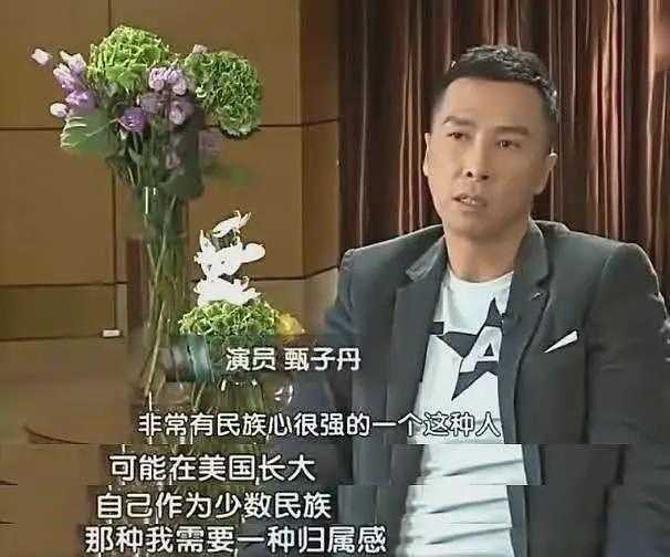 孙俪评论区沦陷！被骂国内挣钱国外花，细数过去一切有迹可循（组图） - 18