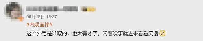 内娱正在被“宜修”们毁灭(组图) - 3