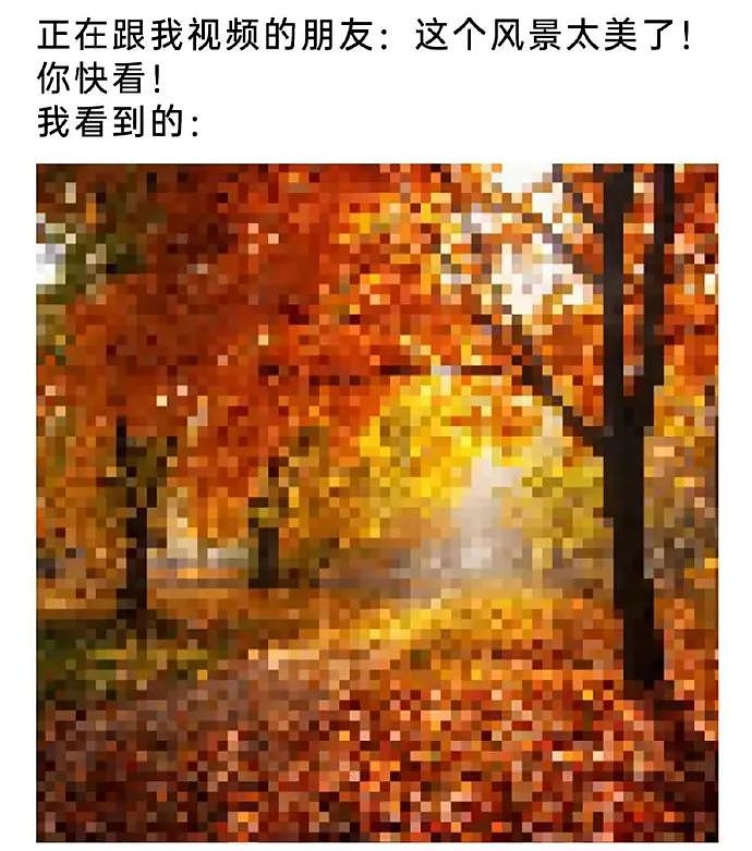【爆笑】老公每天背着我吃火腿肠,我想离婚有错吗?网友破防:离谱又合理?(组图) - 20