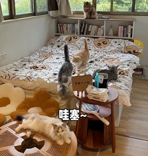【爆笑】在“肛肠”里住一晚是什么体验？现在的主题酒店这么狂野的吗？我看完沉默了（组图） - 13