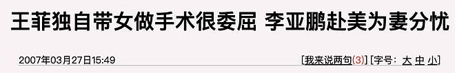 王菲李亚鹏离婚12年：婆媳暗战、天价纠纷与婚姻牢笼（组图） - 167