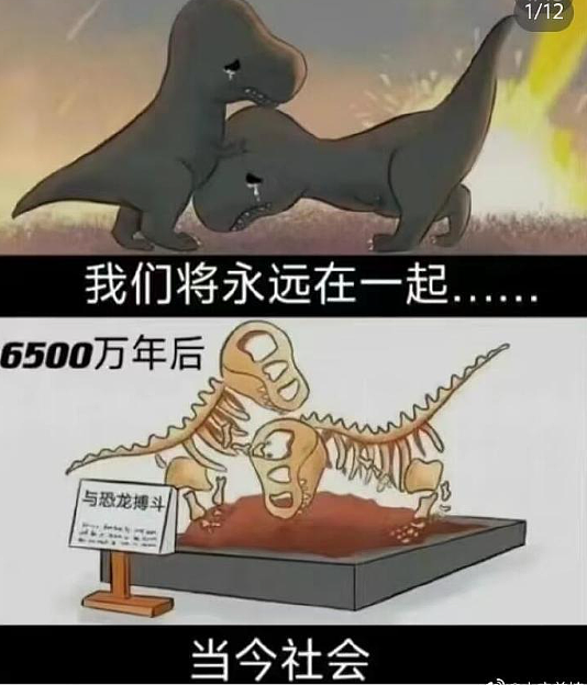 【爆笑】老公每天背着我吃火腿肠,我想离婚有错吗?网友破防:离谱又合理?(组图) - 10