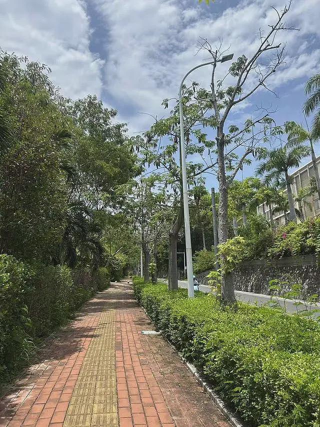 三亚死亡女子家属回应质疑:第二家医院使用了血清抢救,愿意尸检配合调查(组图) - 3