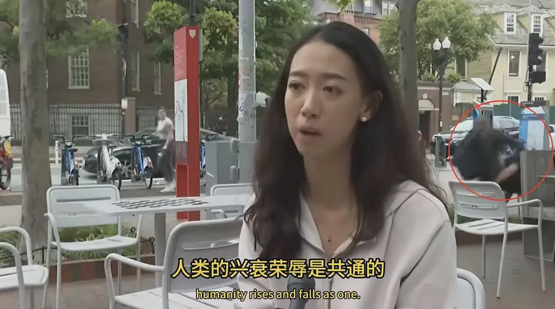 蒋雨融和哈佛大学，都不知道自己错在哪里（组图） - 4