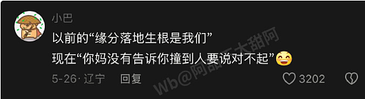【爆笑】老公每天背着我吃火腿肠,我想离婚有错吗?网友破防:离谱又合理?(组图) - 32