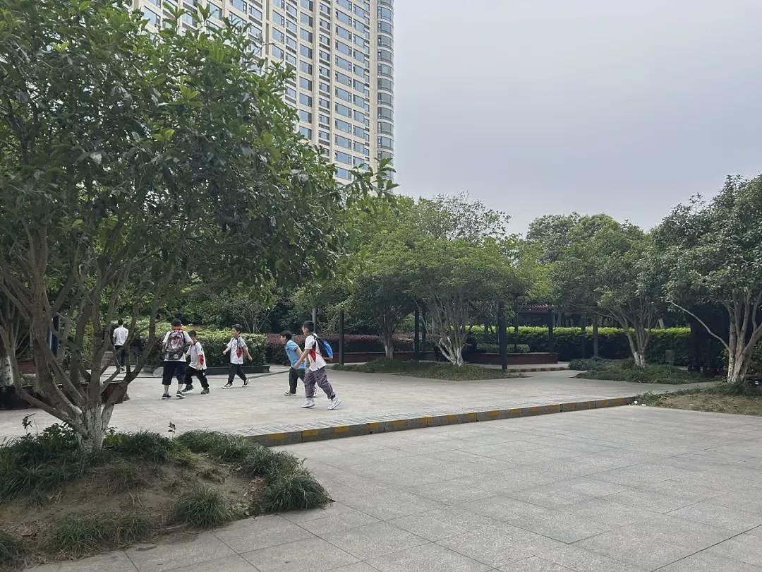9岁围棋天才朱宏鑫坠亡前的最后一日(组图) - 9