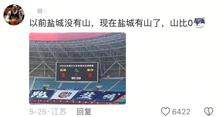 江苏人踢球，满屏都是散装笑话（组图） - 6