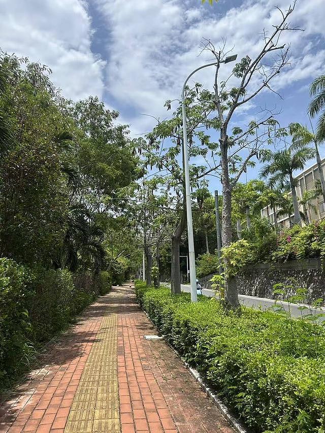 三亚死亡女子家属回应质疑:第二家医院使用了血清抢救,愿意尸检配合调查(组图) - 3