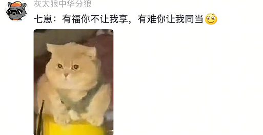 【爆笑】老公每天背着我吃火腿肠,我想离婚有错吗?网友破防:离谱又合理?(组图) - 29