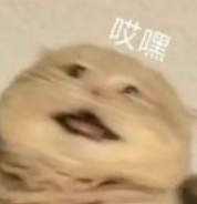 【爆笑】在“肛肠”里住一晚是什么体验？现在的主题酒店这么狂野的吗？我看完沉默了（组图） - 3